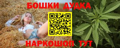 эйфоретик Новокубанск