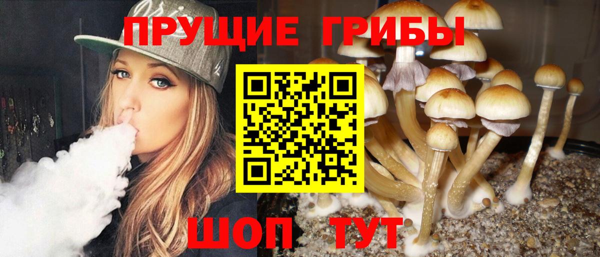 Псилоцибиновые грибы прущие грибы Татарск